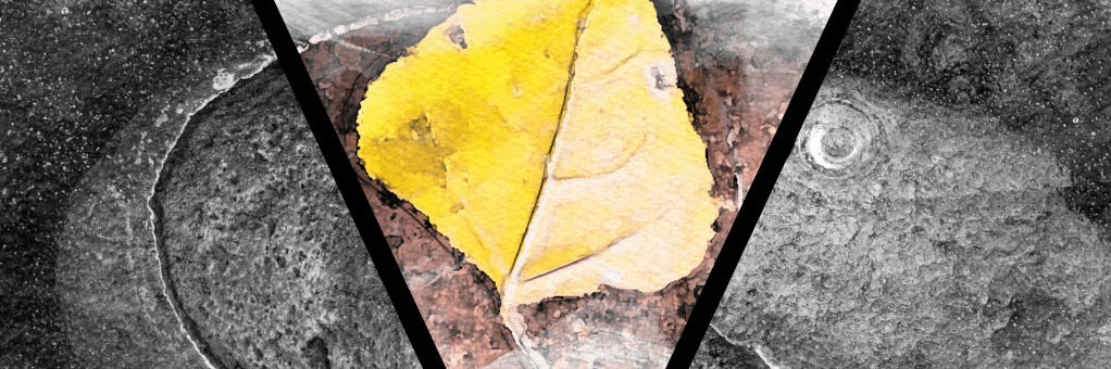 A fallen, yellow leaf lays on a rock, ice melting around it. The photo appears in black and white with a V-shaped center section in bright, water-colors.
