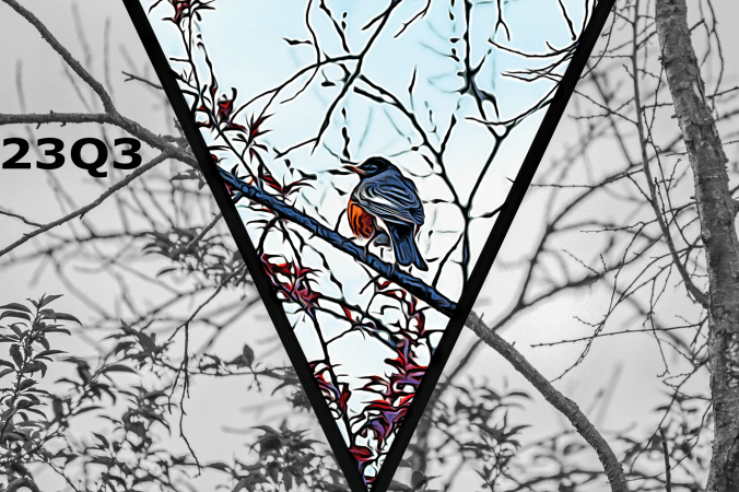 Inside a bold V shape, a bird sits on a thin branch. It appears to be painted with delicate strokes of blue and orange among a few raspberry-colored leaves. Outside the V, the image in black and white, the branches and leaves cold and muted.